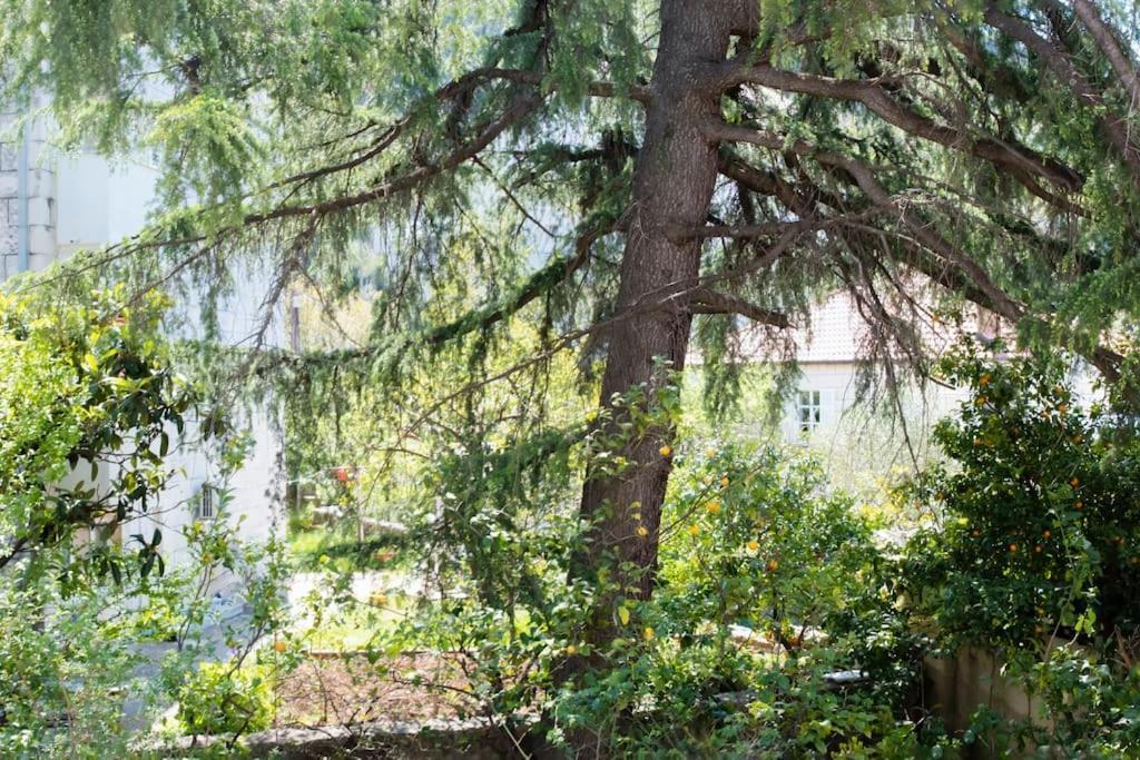 Lapad Cove Apartman Dubrovnik Kültér fotó