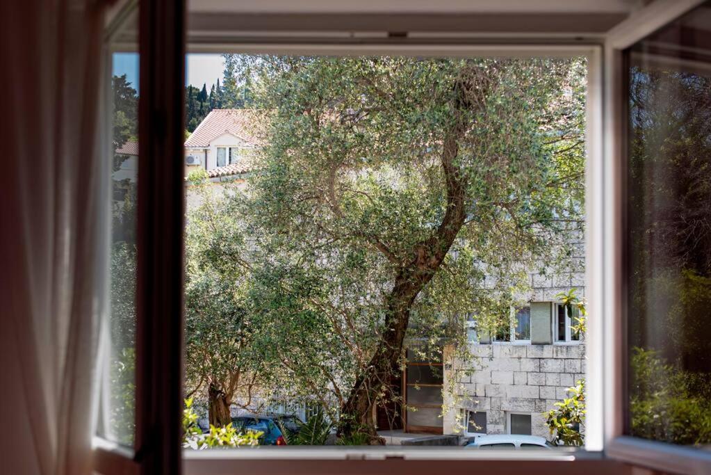Lapad Cove Apartman Dubrovnik Kültér fotó
